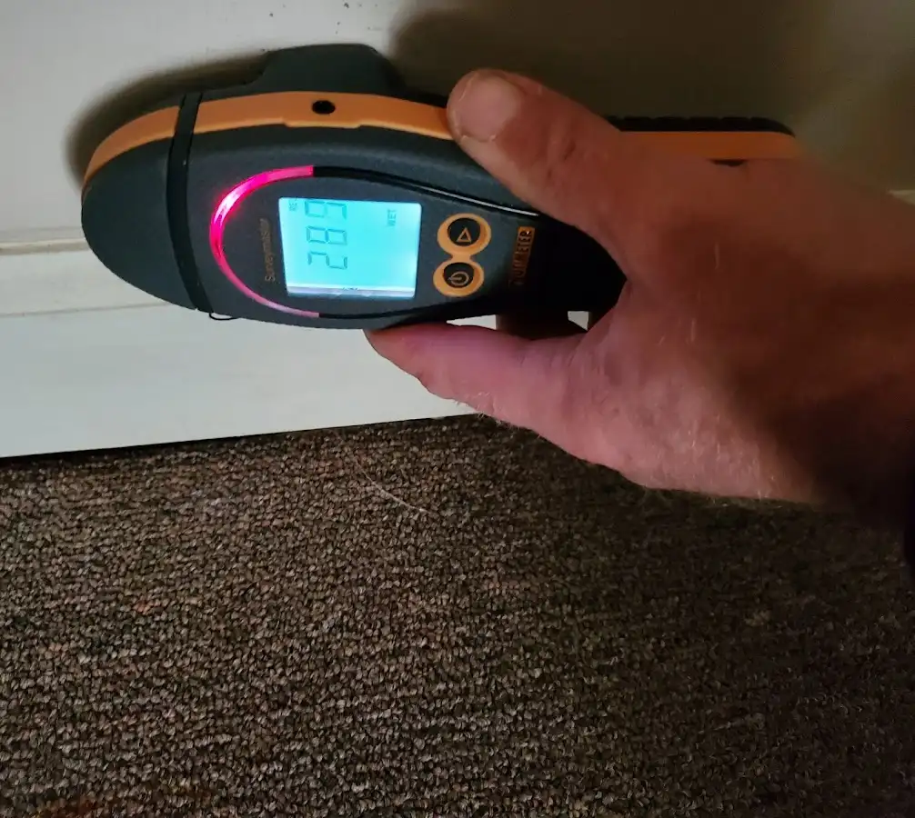 Moisture detection at baseboard during Sewage Cleanup & Sanitation in Hampton